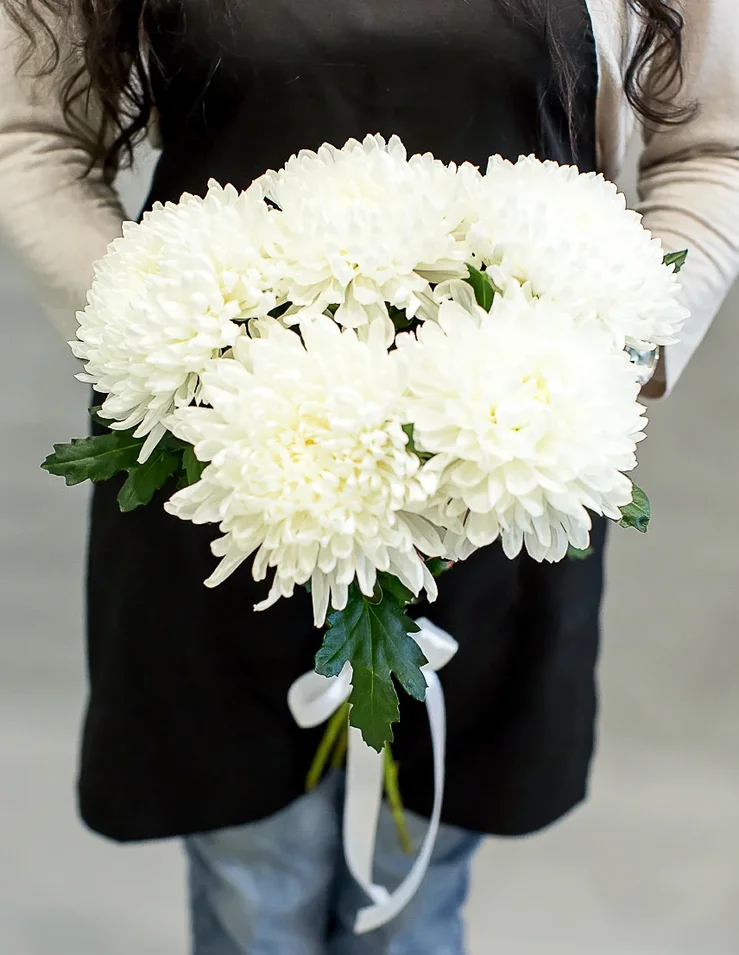 картинка Букет из 5 белых одноголовых хризантем от магазина ЦВЕТТОРГ