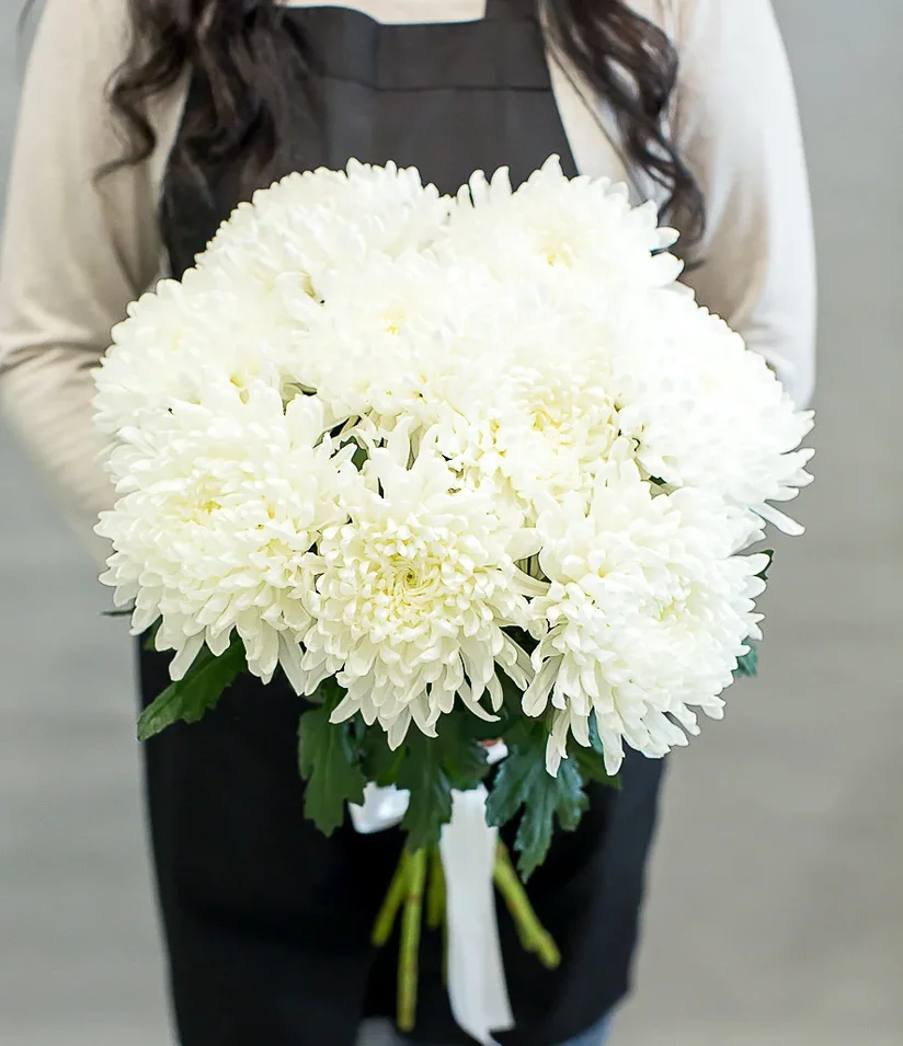 Букет из 9 белых одноголовых хризантем от интернет-магазина ЦветТорг