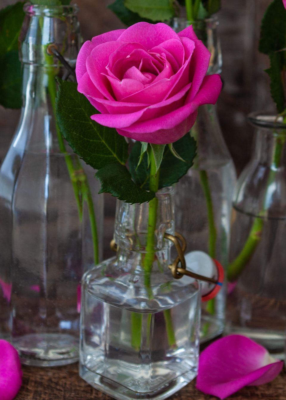 Роза 60-70 см ярко-розовая от интернет-магазина ЦветТорг