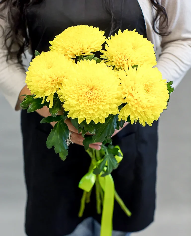 Букет из 5 одноголовых желтых хризантем от интернет-магазина ЦветТорг