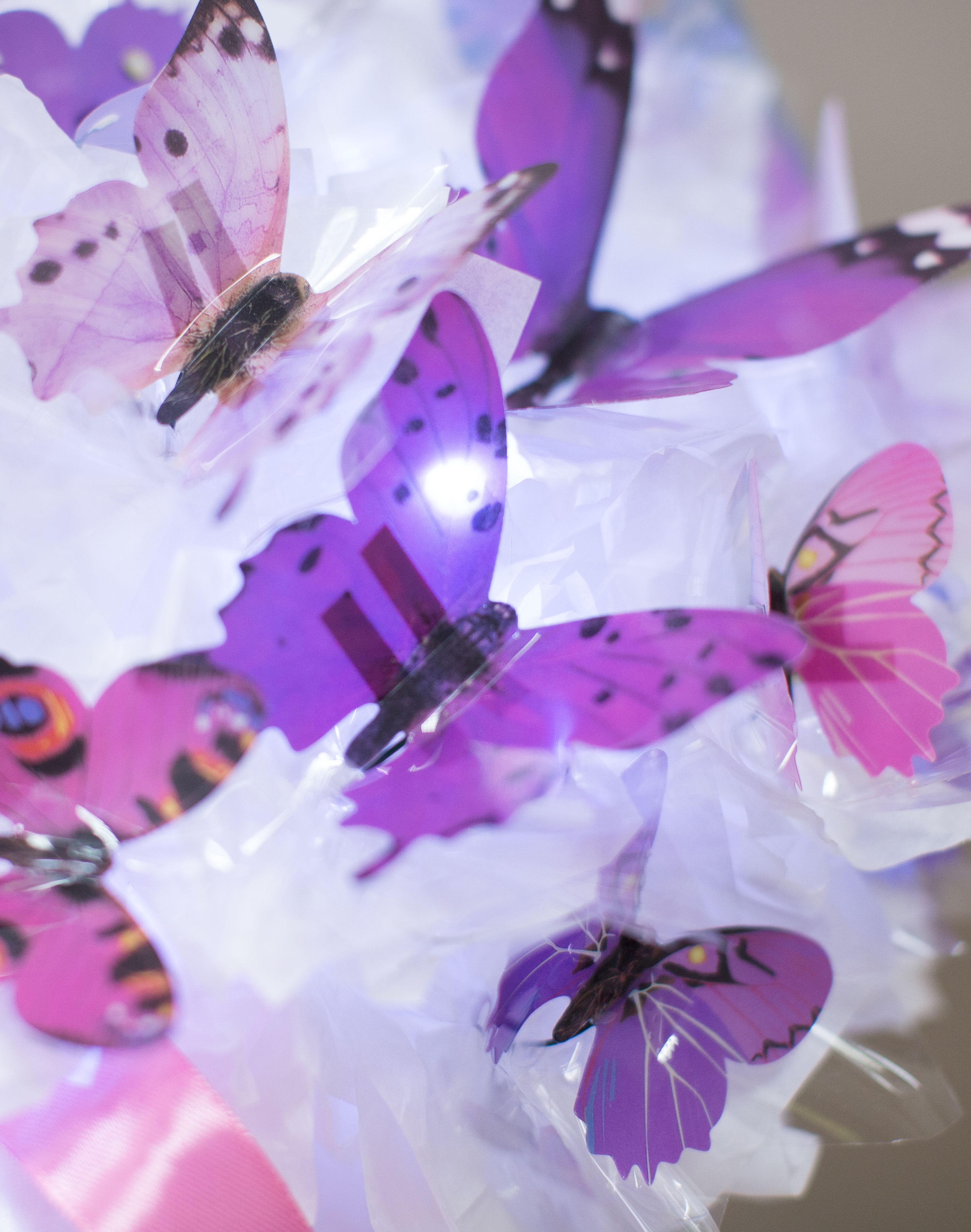 Коробка с декоративными бабочками от интернет-магазина ЦветТорг
