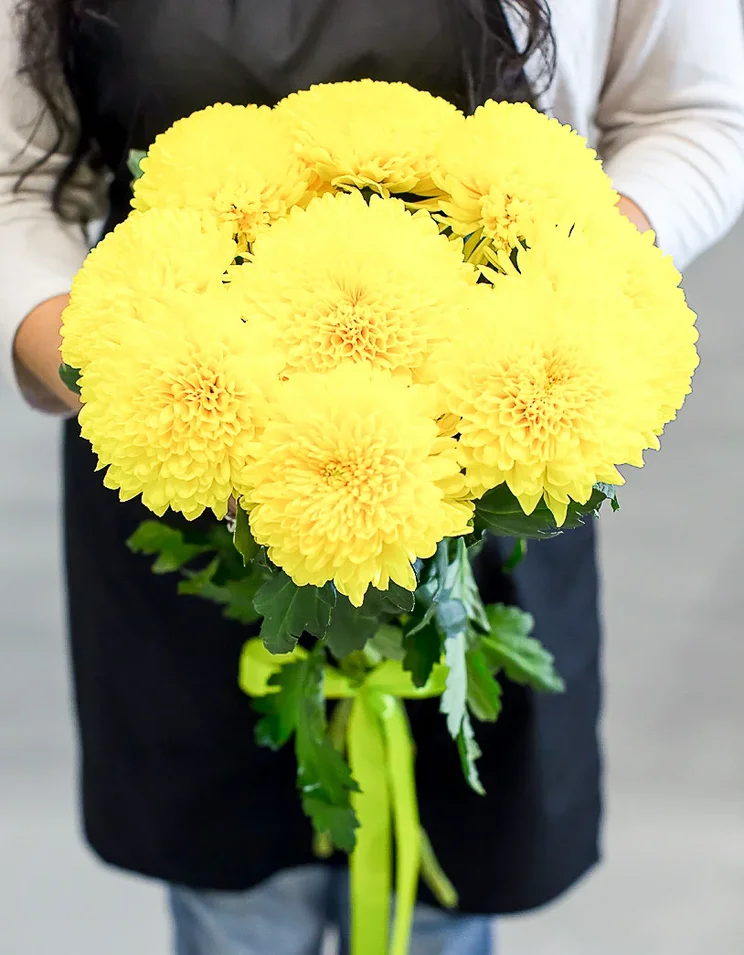 картинка Букет из 9 желтых одноголовых хризантем от магазина ЦВЕТТОРГ