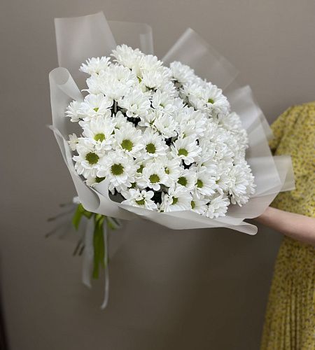 Букет из 15 кустовых хризантем в упаковке - купить с доставкой недорого в интернет-магазине Цветторг