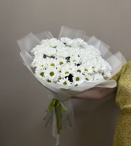 Букет из 15 кустовых хризантем в упаковке - купить с доставкой недорого в интернет-магазине Цветторг