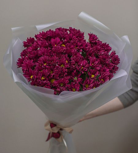 Букет из 9 бордовых хризантем в упаковке - купить с доставкой недорого в интернет-магазине Цветторг
