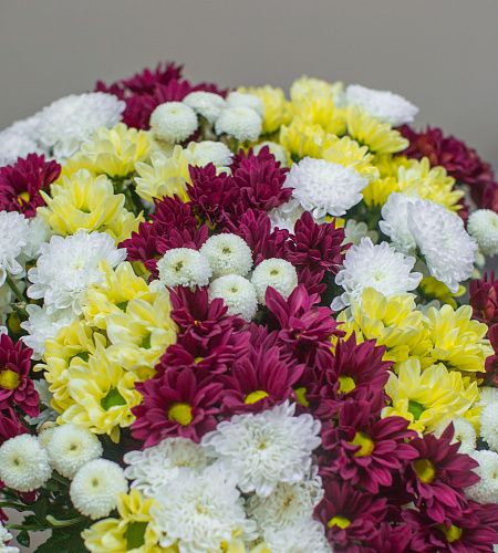 Букет из 25 кустовых хризантем (осенний микс) - купить с доставкой недорого в интернет-магазине Цветторг