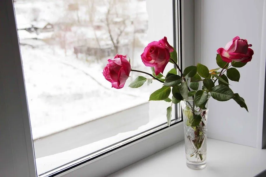 Почему быстро вянут цветы в доме: приметы и причины